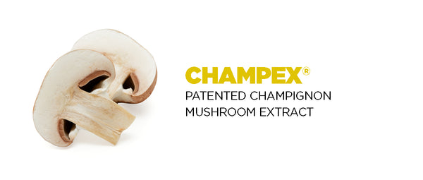 Champex mushroom outlet extract for dogs